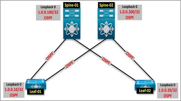 توپولوژی Spine-and-Leaf در BGP 6